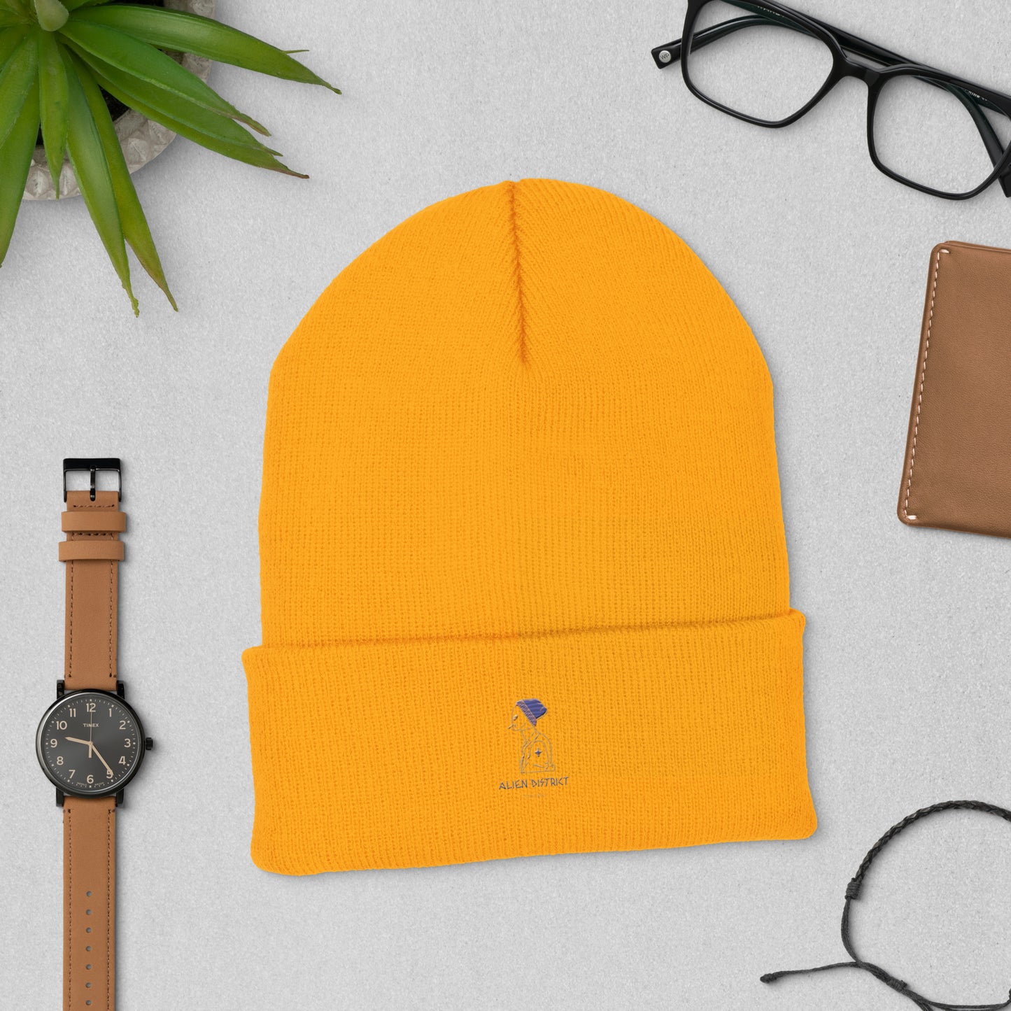 Alien District Cuffed Beanie