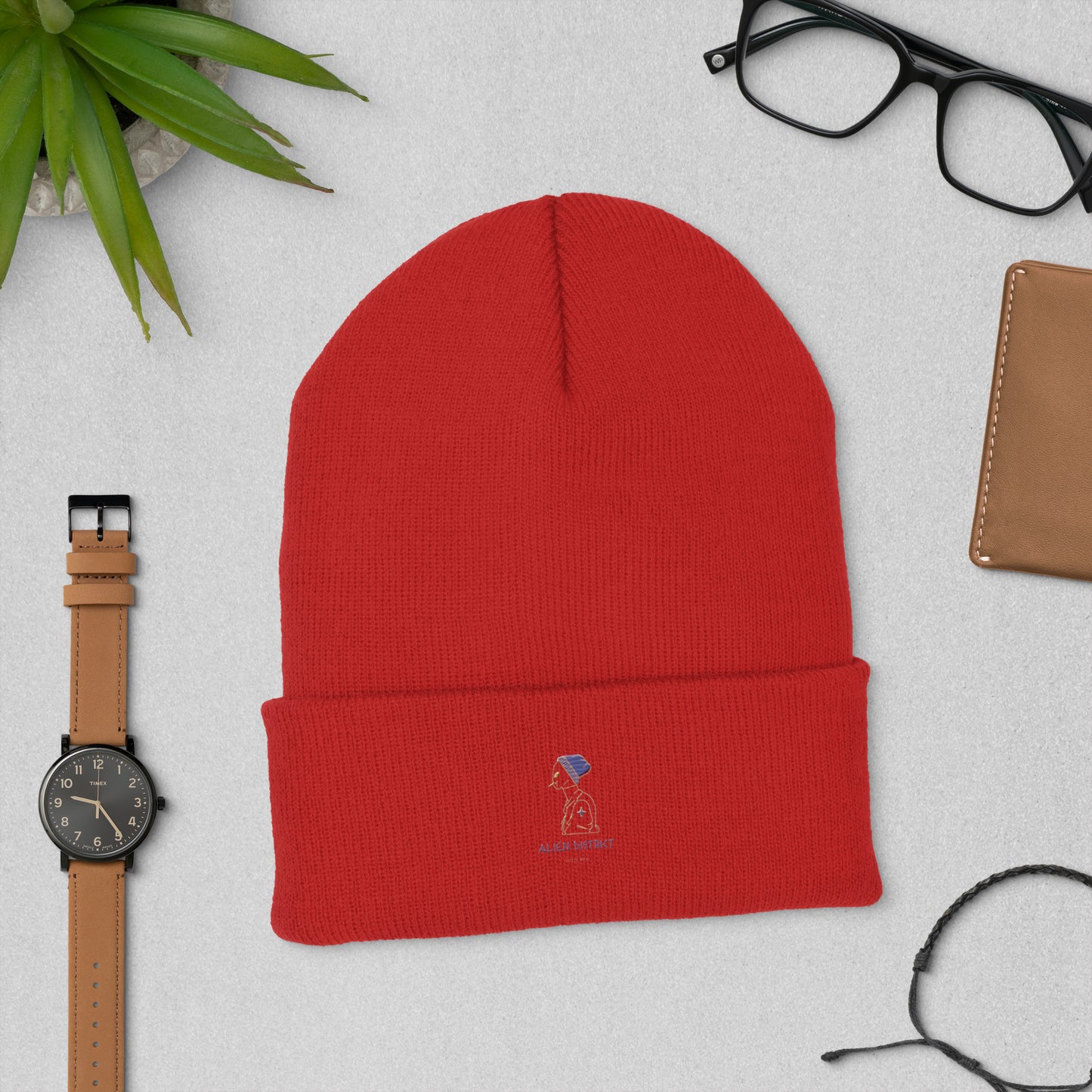 Alien District Cuffed Beanie